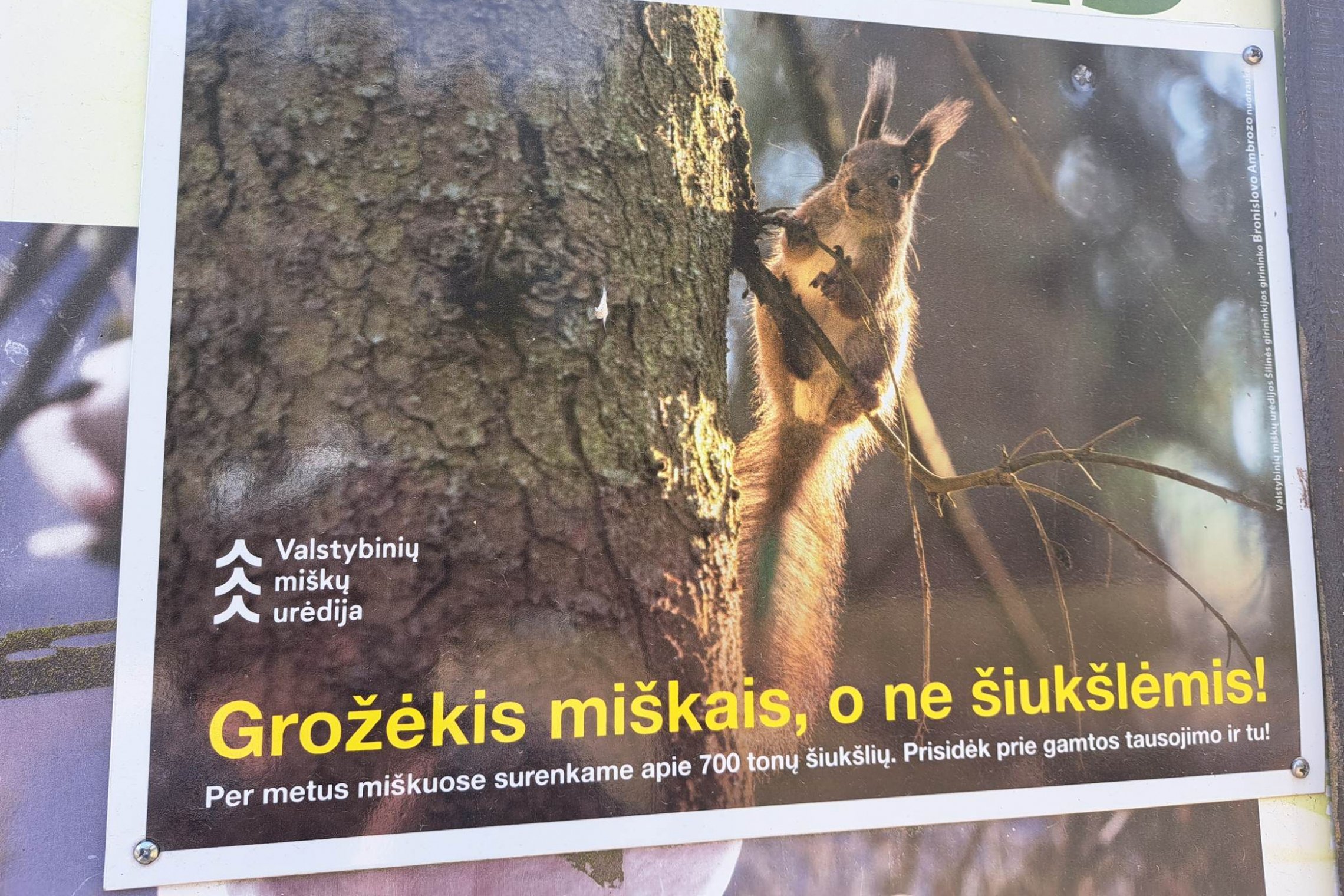 Iliustracija